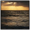 Dunns Seafare